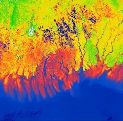 Sentinel-3 OLCI OTCI image