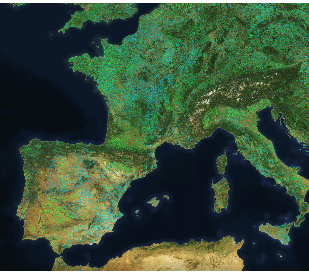 HR Vegetation Phenology and Productivity service